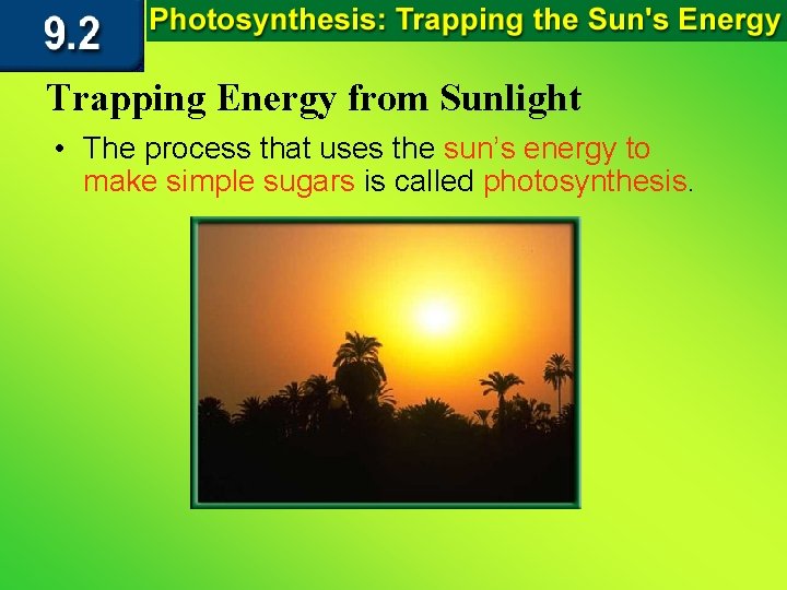 Trapping Energy from Sunlight • The process that uses the sun’s energy to make