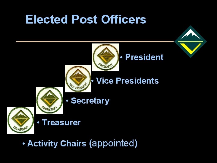 Elected Post Officers • President • Vice Presidents • Secretary • Treasurer • Activity