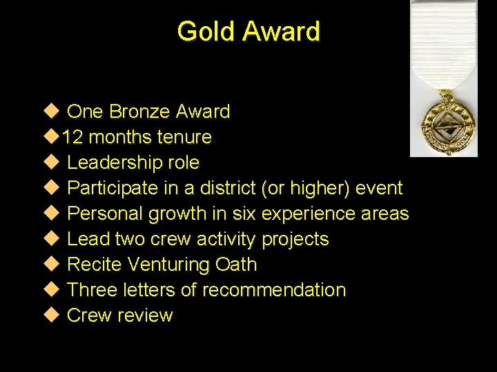 Gold Award u One Bronze Award u 12 months tenure u Leadership role u