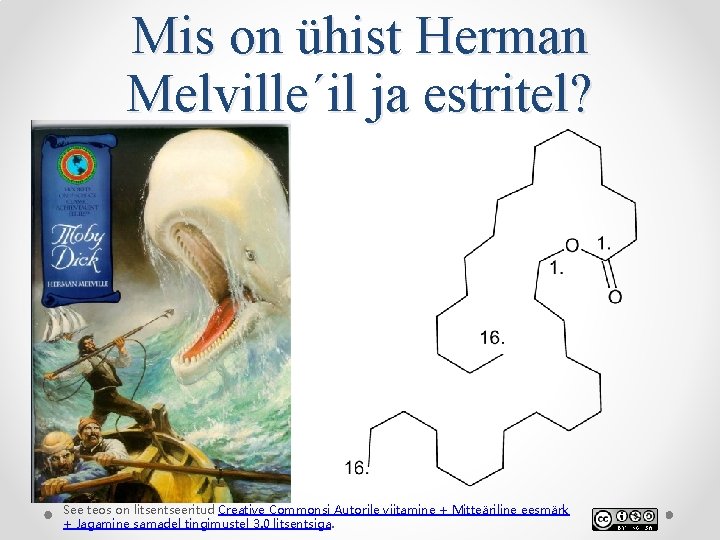 Mis on ühist Herman Melville´il ja estritel? See teos on litsentseeritud Creative Commonsi Autorile