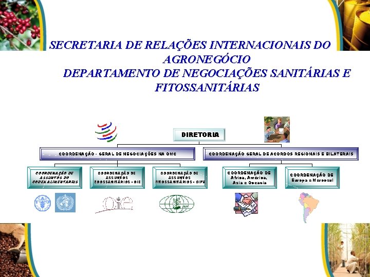 SECRETARIA DE RELAÇÕES INTERNACIONAIS DO AGRONEGÓCIO DEPARTAMENTO DE NEGOCIAÇÕES SANITÁRIAS E FITOSSANITÁRIAS DIRETORIA COORDENAÇÃO