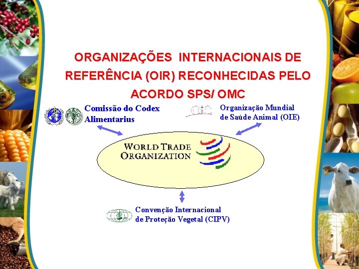 ORGANIZAÇÕES INTERNACIONAIS DE REFERÊNCIA (OIR) RECONHECIDAS PELO ACORDO SPS/ OMC Comissão do Codex Alimentarius