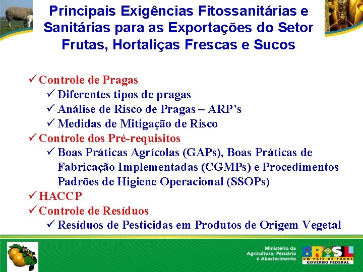 Principais Exigências Fitossanitárias e Sanitárias para as Exportações do Setor Frutas, Hortaliças Frescas e