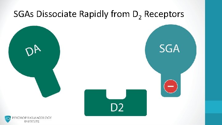 SGAs Dissociate Rapidly from D 2 Receptors 