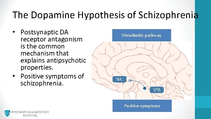 The Dopamine Hypothesis of Schizophrenia • Postsynaptic DA receptor antagonism is the common mechanism