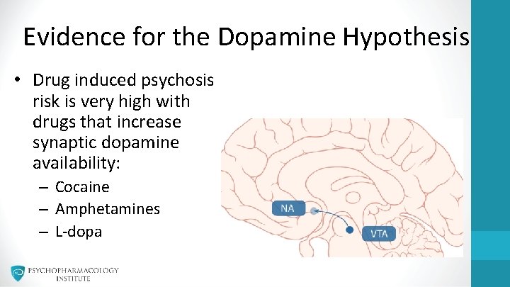Evidence for the Dopamine Hypothesis • Drug induced psychosis risk is very high with