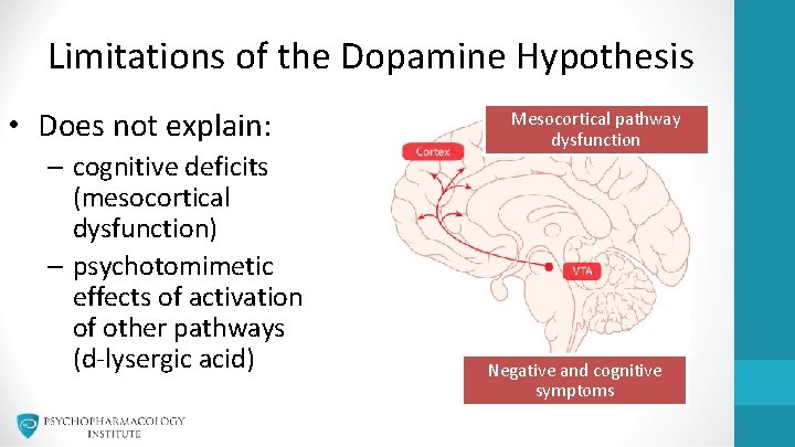 Limitations of the Dopamine Hypothesis • Does not explain: – cognitive deficits (mesocortical dysfunction)