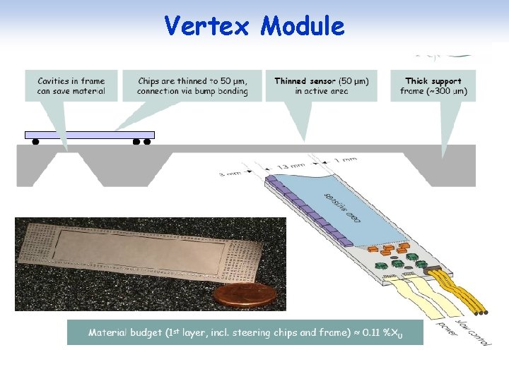 Vertex Module 