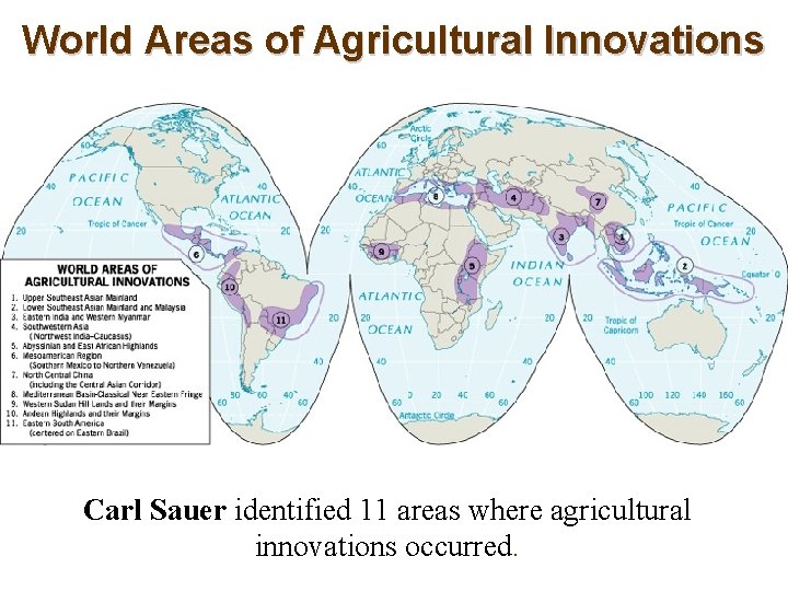 World Areas of Agricultural Innovations Carl Sauer identified 11 areas where agricultural innovations occurred.