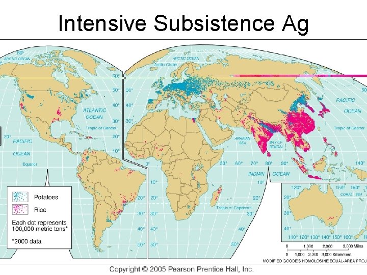 Intensive Subsistence Ag 