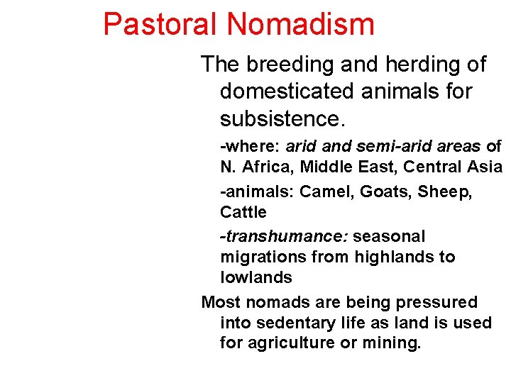 Pastoral Nomadism The breeding and herding of domesticated animals for subsistence. Bedouin Shepherd Somali