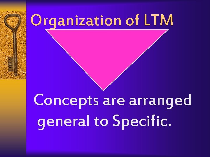 Organization of LTM Concepts are arranged general to Specific. 