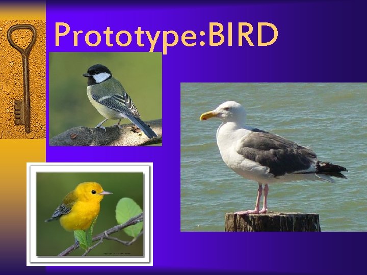 Prototype: BIRD 