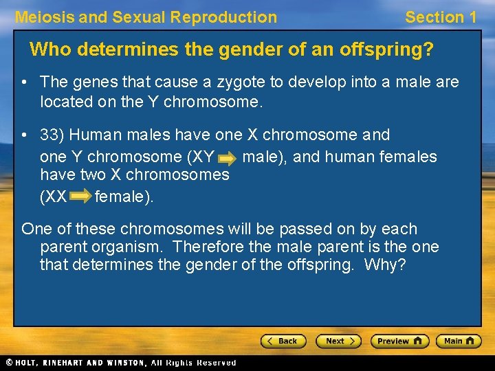 Meiosis and Sexual Reproduction Section 1 Who determines the gender of an offspring? • Meiosis and Sexual Reproduction Section 1 Who determines the gender of an offspring? •