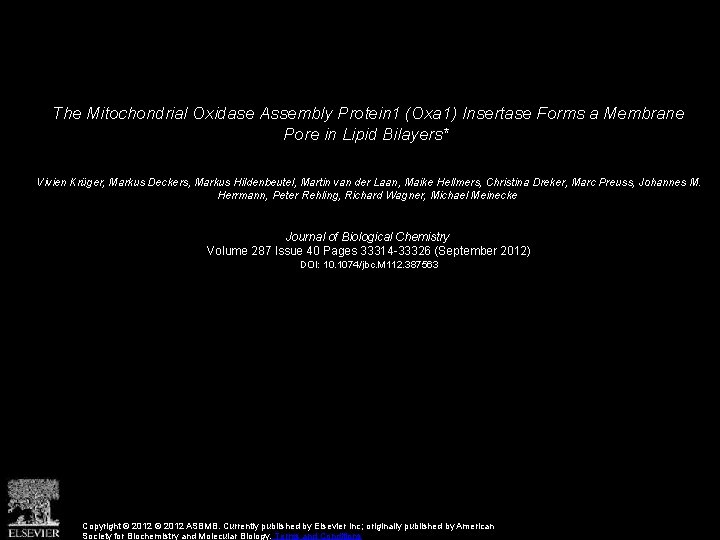 The Mitochondrial Oxidase Assembly Protein 1 (Oxa 1) Insertase Forms a Membrane Pore in