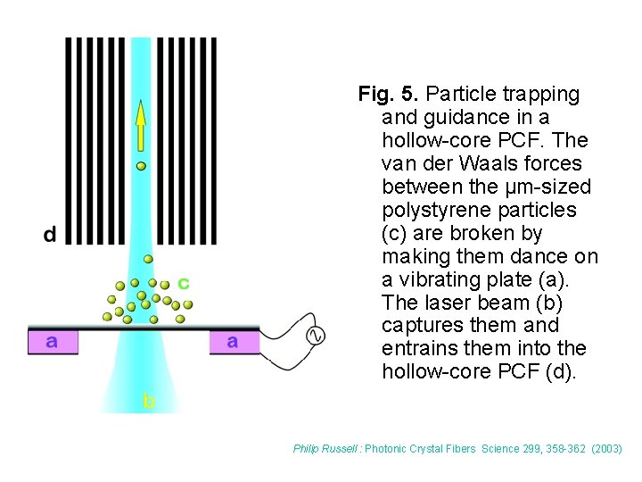 Fig. 5. Particle trapping and guidance in a hollow-core PCF. The van der Waals