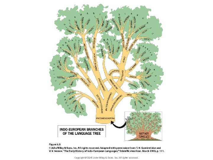 Copyright © 2015 John Wiley & Sons, Inc. All rights reserved. 