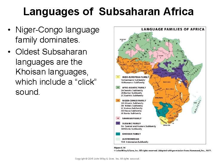 Languages of Subsaharan Africa • Niger-Congo language family dominates. • Oldest Subsaharan languages are