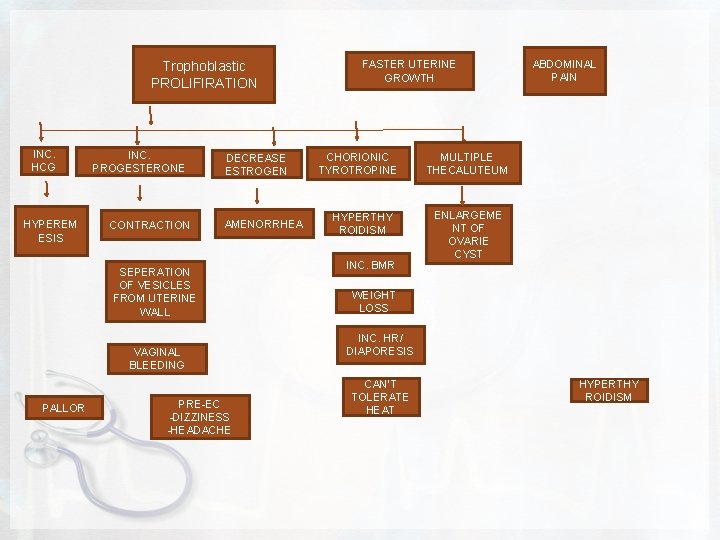 Trophoblastic PROLIFIRATION INC. HCG HYPEREM ESIS INC. PROGESTERONE CONTRACTION DECREASE ESTROGEN AMENORRHEA SEPERATION OF