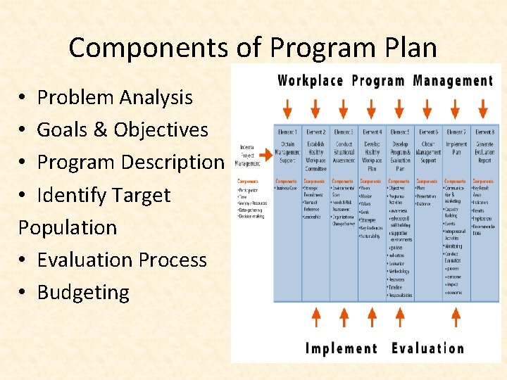 Components of Program Plan • Problem Analysis • Goals & Objectives • Program Description