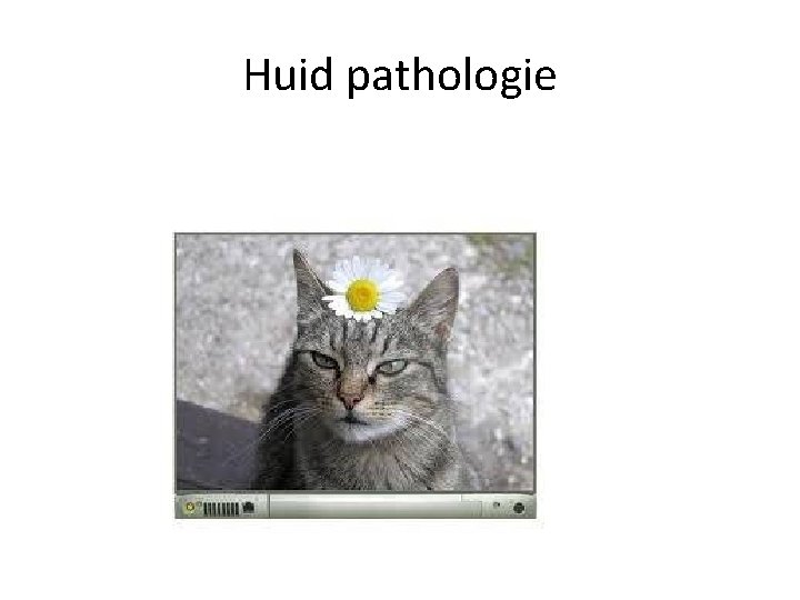 Huid pathologie 