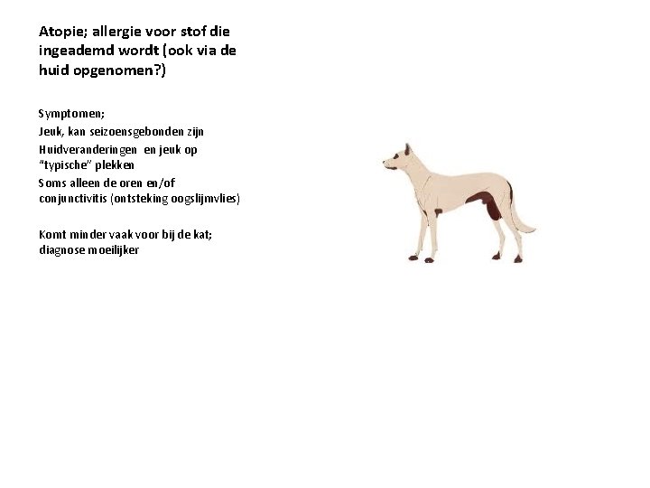 Atopie; allergie voor stof die ingeademd wordt (ook via de huid opgenomen? ) Symptomen;