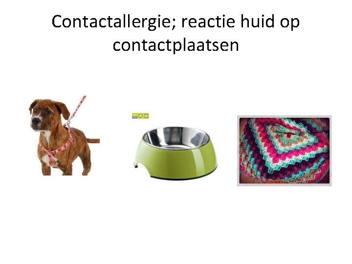 Contactallergie; reactie huid op contactplaatsen 