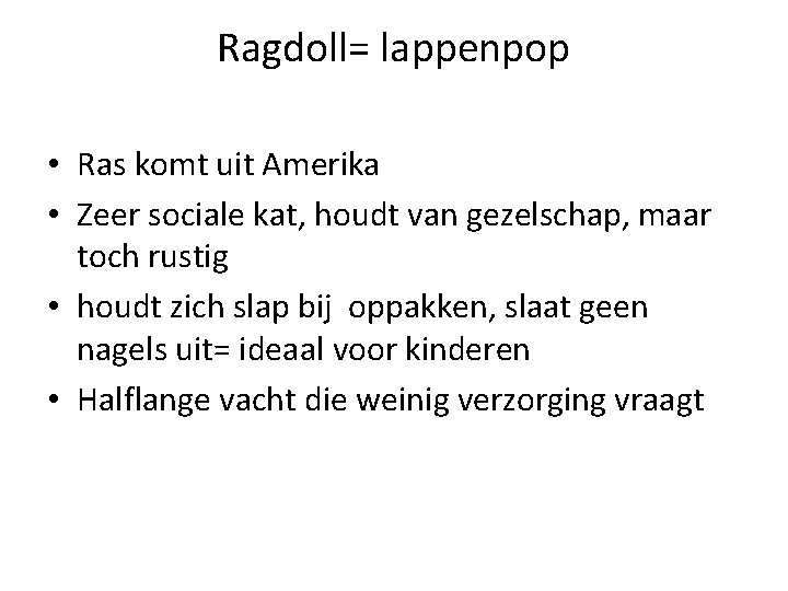 Ragdoll= lappenpop • Ras komt uit Amerika • Zeer sociale kat, houdt van gezelschap,