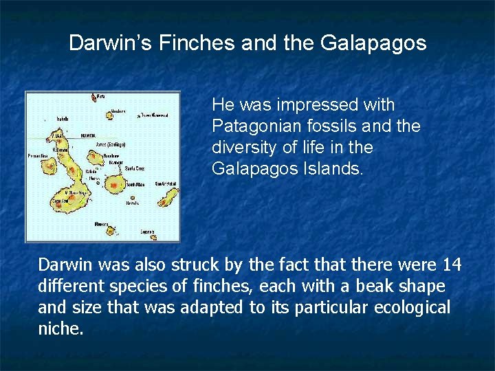 Darwin’s Finches and the Galapagos He was impressed with Patagonian fossils and the diversity