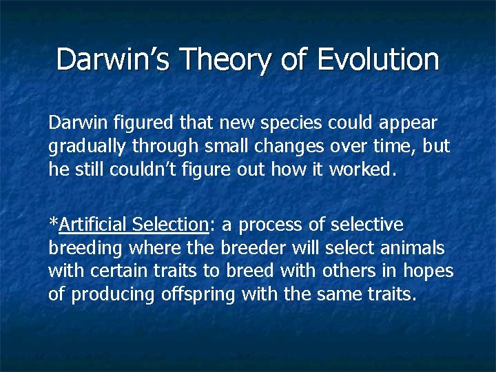 Darwin’s Theory of Evolution Darwin figured that new species could appear gradually through small