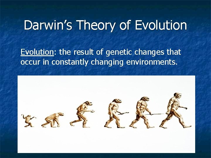 Darwin’s Theory of Evolution: the result of genetic changes that occur in constantly changing