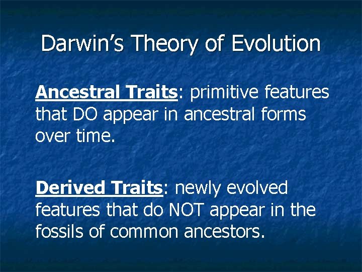 Darwin’s Theory of Evolution Ancestral Traits: primitive features that DO appear in ancestral forms