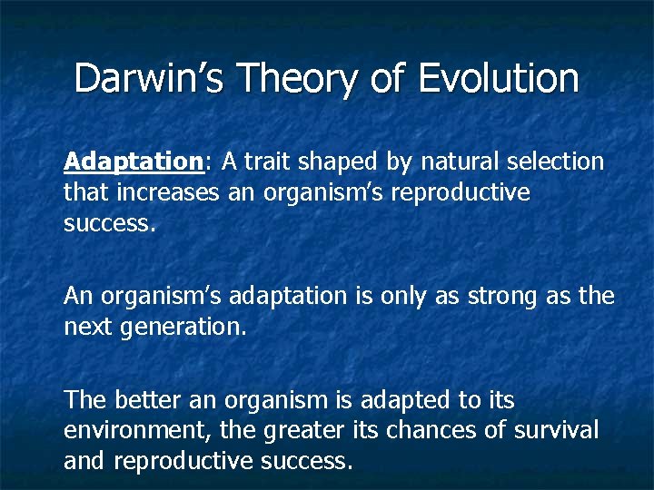 Darwin’s Theory of Evolution Adaptation: A trait shaped by natural selection that increases an