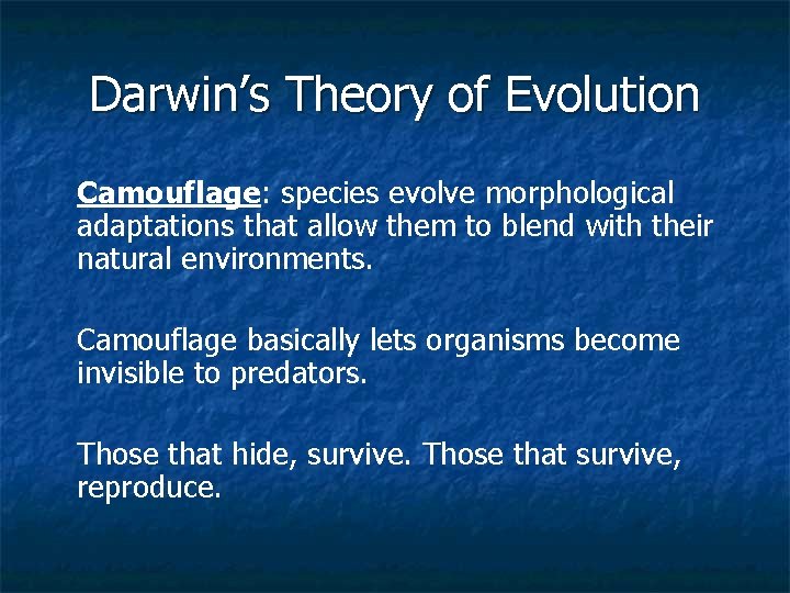 Darwin’s Theory of Evolution Camouflage: species evolve morphological adaptations that allow them to blend