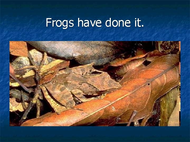 Frogs have done it. 