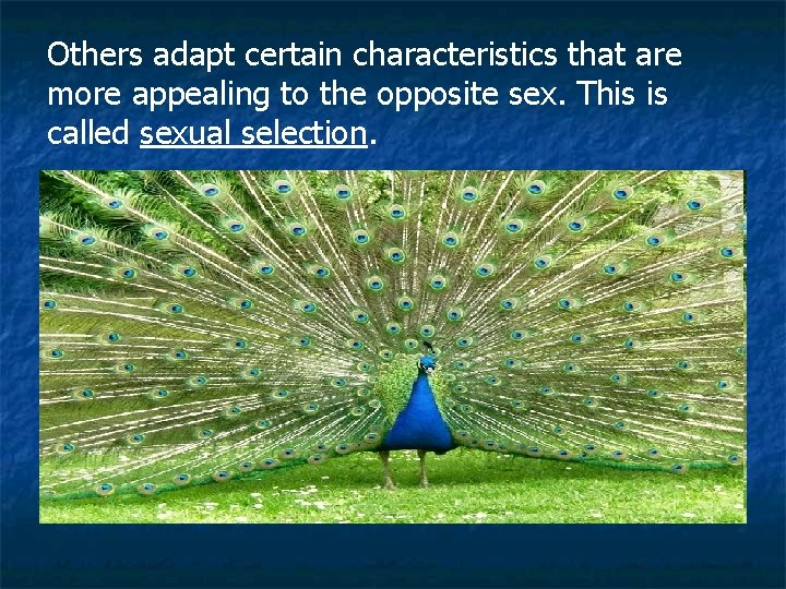 Others adapt certain characteristics that are more appealing to the opposite sex. This is