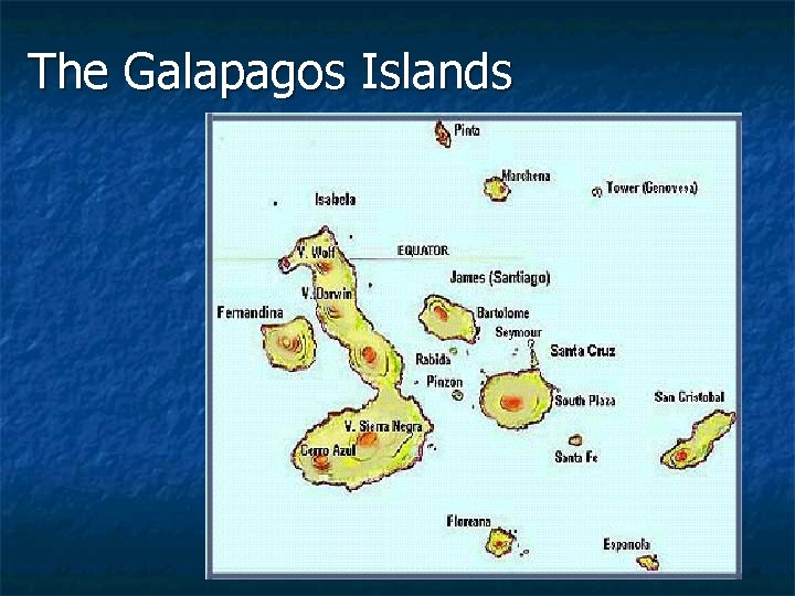 The Galapagos Islands 