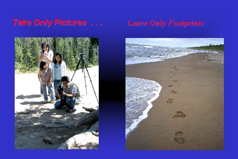 Take Only Pictures. . . Leave Only Footprints 