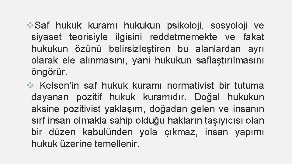 v. Saf hukuk kuramı hukukun psikoloji, sosyoloji ve siyaset teorisiyle ilgisini reddetmemekte ve fakat