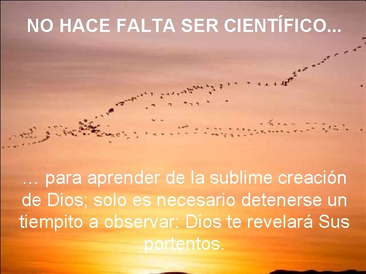 NO HACE FALTA SER CIENTÍFICO. . . … para aprender de la sublime creación