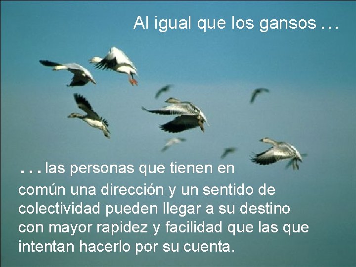 Al igual que los gansos … …las personas que tienen en común una dirección