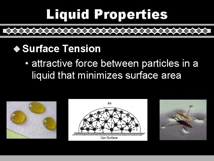 Liquid Properties u Surface Tension • attractive force between particles in a liquid that