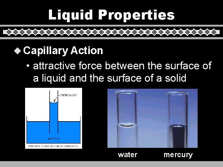 Liquid Properties u Capillary Action • attractive force between the surface of a liquid