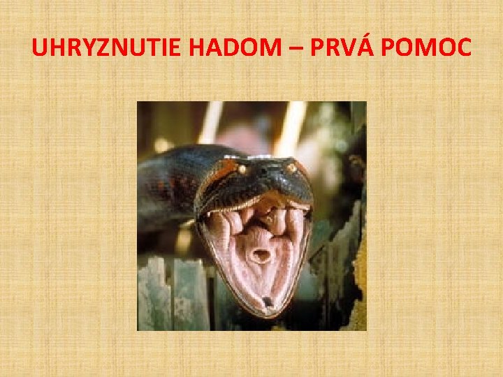 UHRYZNUTIE HADOM – PRVÁ POMOC 