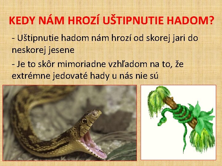 KEDY NÁM HROZÍ UŠTIPNUTIE HADOM? - Uštipnutie hadom nám hrozí od skorej jari do