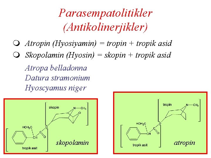 Parasempatolitikler (Antikolinerjikler) m Atropin (Hyosiyamin) = tropin + tropik asid m Skopolamin (Hyosin) =