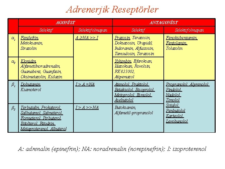 Adrenerjik Reseptörler AGONİST Selektif ANTAGONİST Selektif olmayan A NA >> I Selektif 1 Fenilefrin,