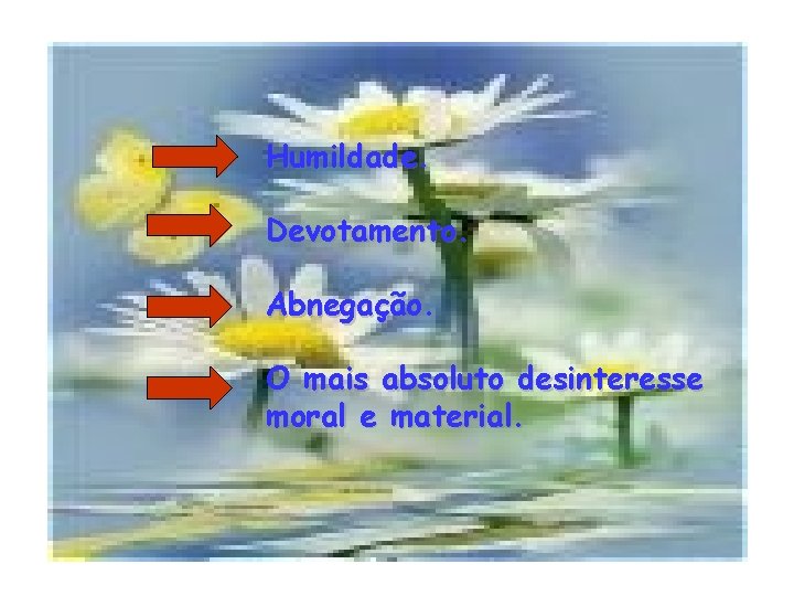 Humildade. Devotamento. Abnegação. O mais absoluto desinteresse moral e material. 