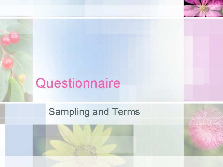 Questionnaire Sampling and Terms 