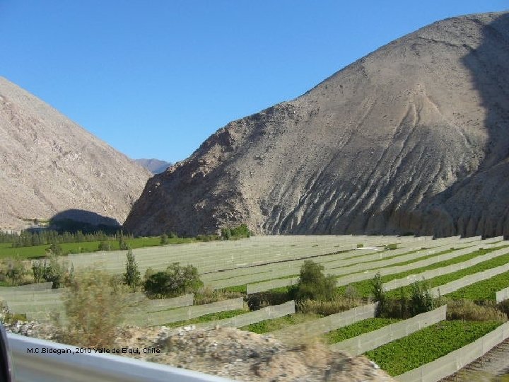 M. C. Bidegain, 2010 Valle de Elqui, Chile 